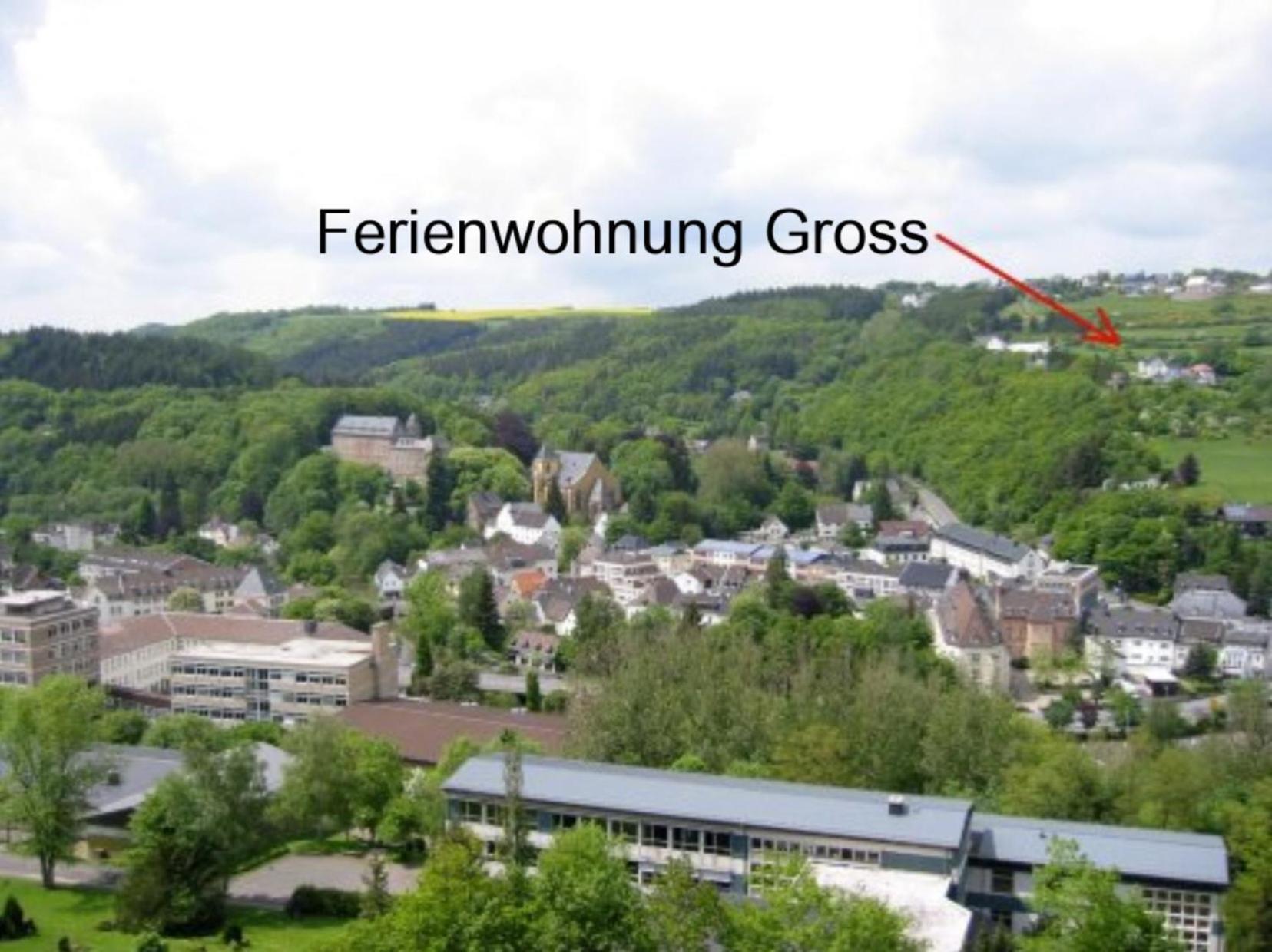 Ferienwohnung Gross A Schleiden Luaran gambar