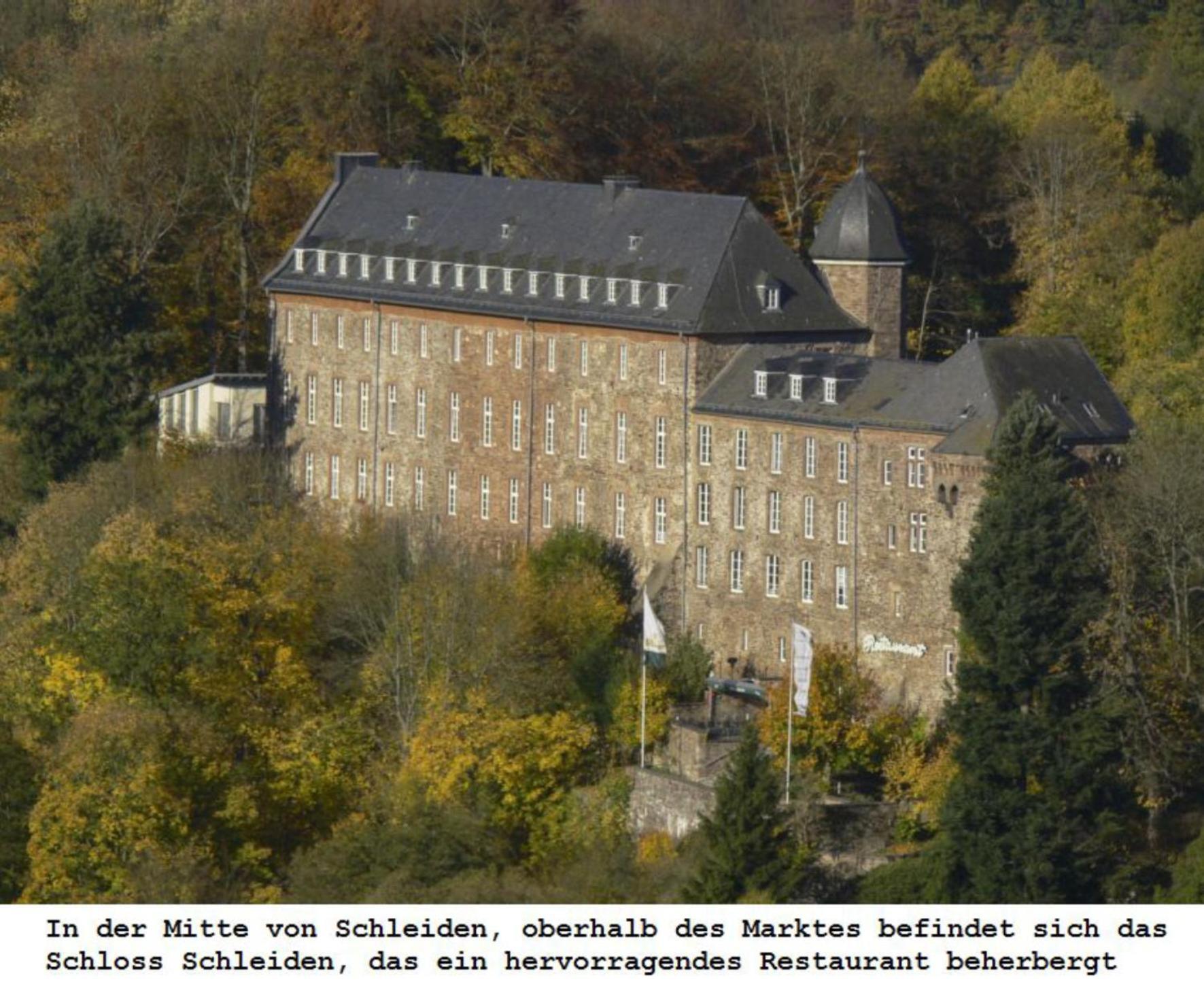 Ferienwohnung Gross A Schleiden Luaran gambar